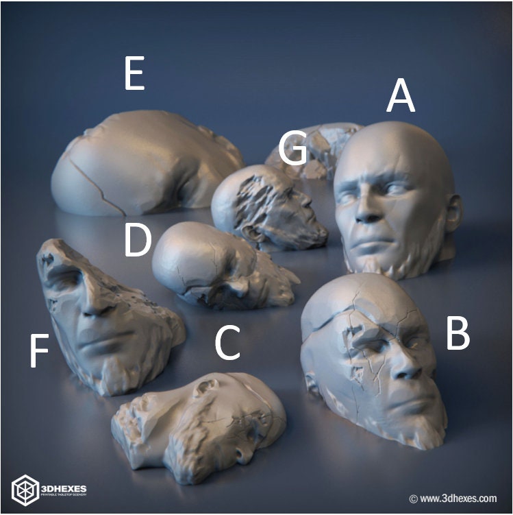 Ancient Heads Set D&D terrain 28-32mm | Dungeons and Dragons | DnD | Pathfinder | Starfinder | Tabletop RPG | Wargaming |