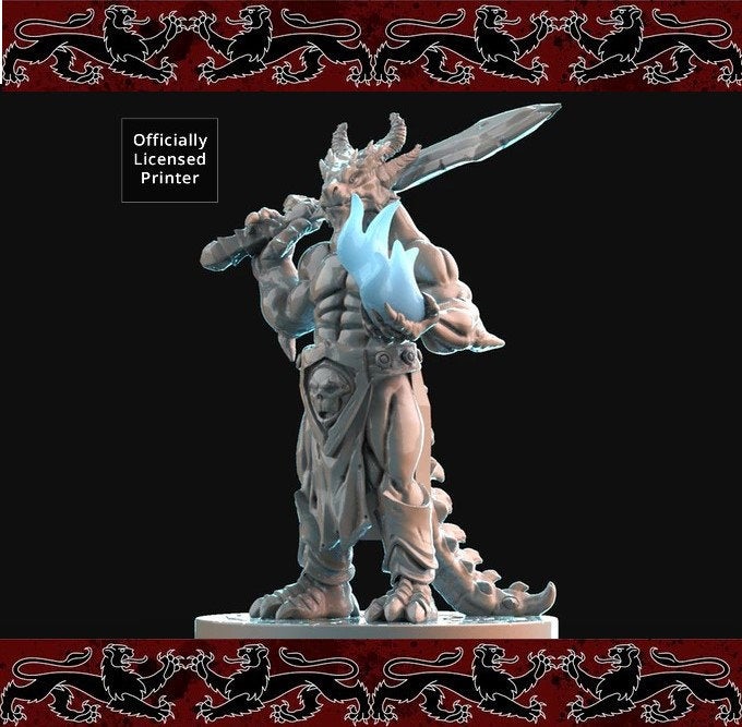 Dragonborn Battlemage / Warrior