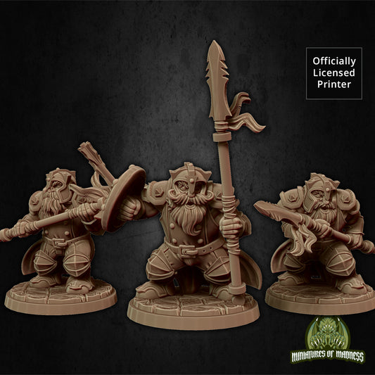 Dwarf Soldiers Set 2